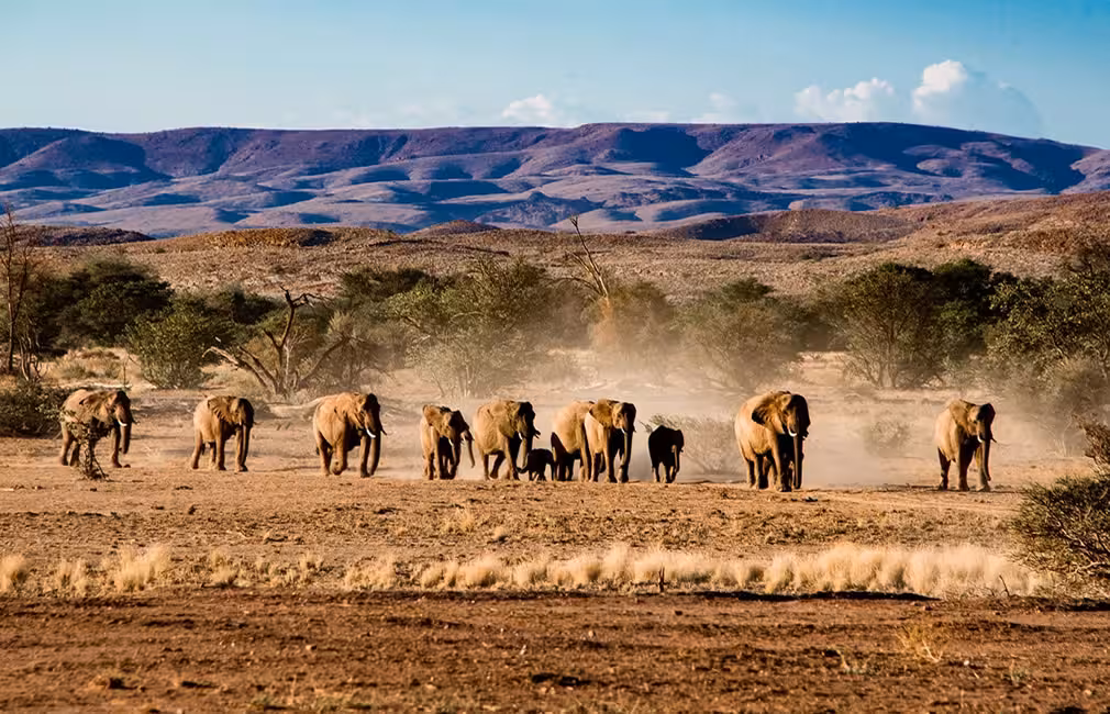 Etosha National Park
