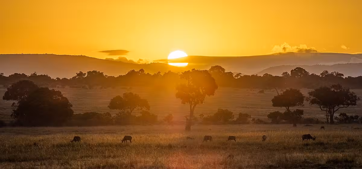 Masai Mara National Reserve