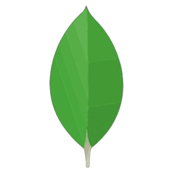MongoDB